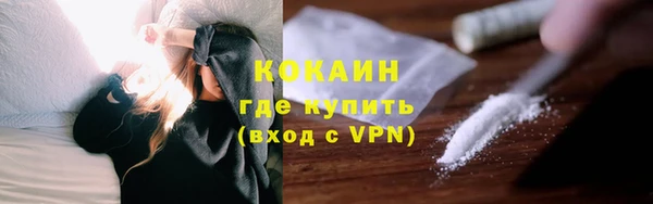 гашик Белоозёрский