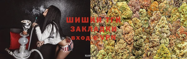 мдпв Белокуриха
