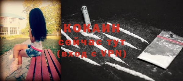 гашик Белоозёрский
